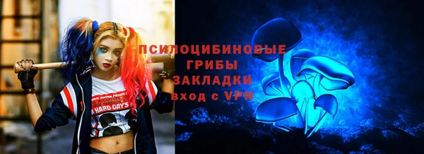 стаф Алексеевка