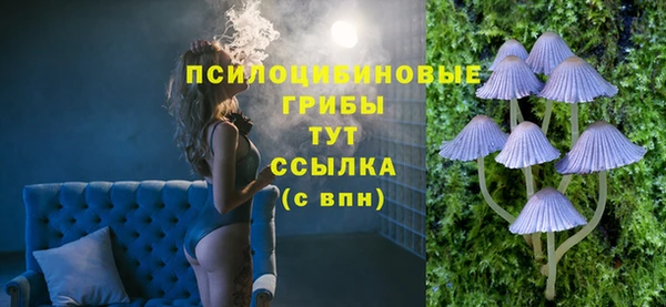 стаф Алексеевка
