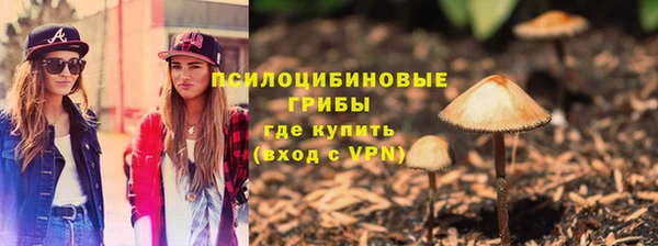 стаф Алексеевка