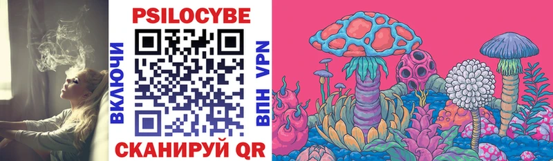 что такое   Обнинск  blacksprut как зайти  Псилоцибиновые грибы Psilocybine cubensis 